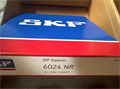 Подшипник SKF 6024 NR 63842